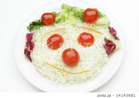 野菜サラダ 14143681
