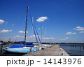霞ヶ浦のヨットハーバー 14143976