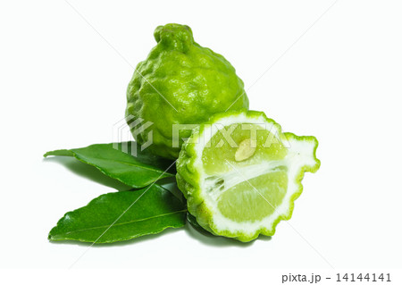 Bergamot 14144141
