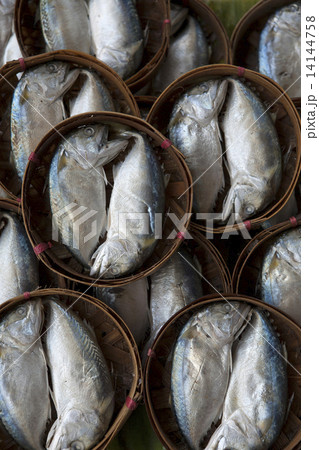 Streamed mackerel in bamboo basket Streamed mackerel in bamboo basket 14144758