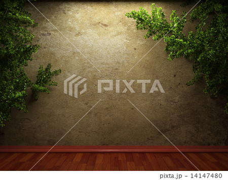old concrete wall and plant old concrete wall and plant 14147480