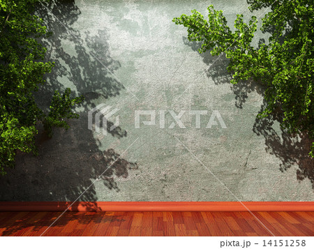 old concrete wall and plant old concrete wall and plant 14151258