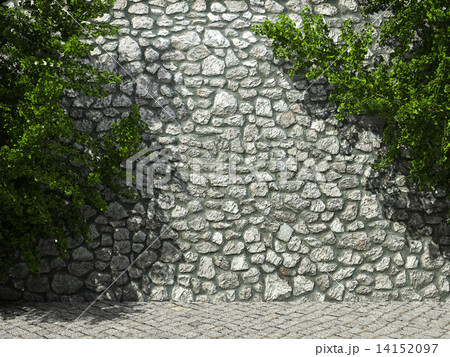 illuminated stone wall and ivy illuminated stone wall and ivy 14152097