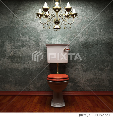 toilet toilet 14152721