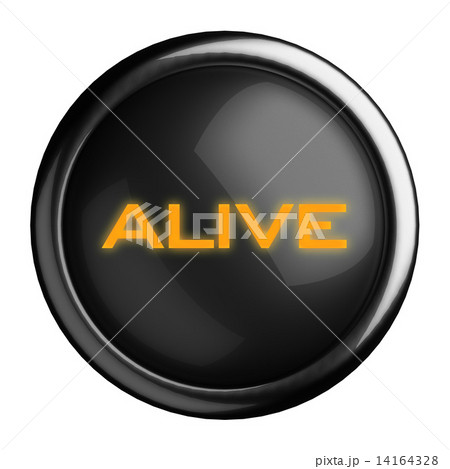 Word on black button Word on black button 14164328