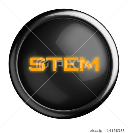 Word on black button 14168383