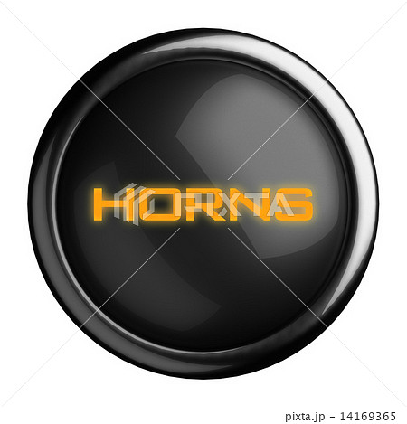 Word on black button 14169365