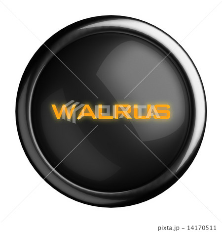 Word on black button 14170511