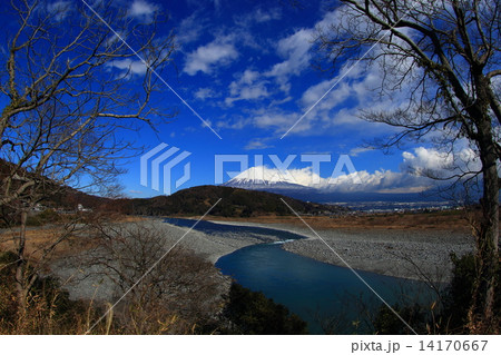 富士川と富士山 富士川と富士山 14170667
