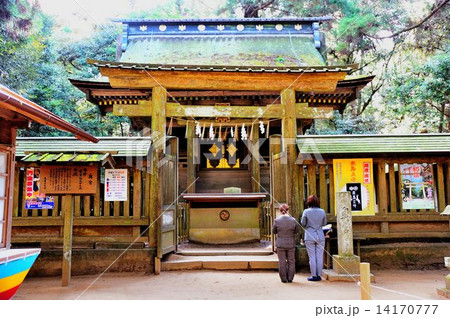 鹿行地区ドライブ行 鹿行地区ドライブ行 14170777