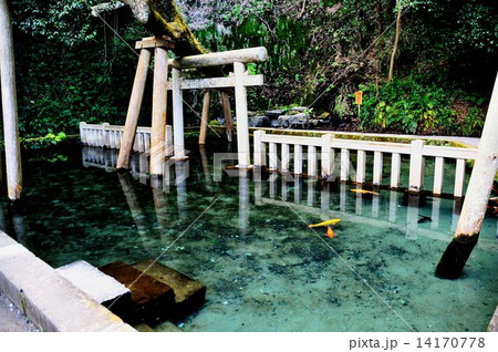 鹿行地区ドライブ行 鹿行地区ドライブ行 14170778