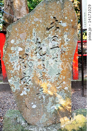 鹿行地区ドライブ行 鹿行地区ドライブ行 14171029