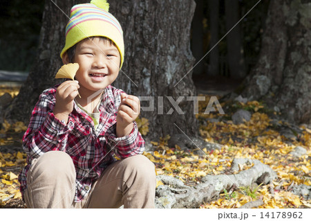 イチョウを持つ子供 イチョウを持つ子供 14178962