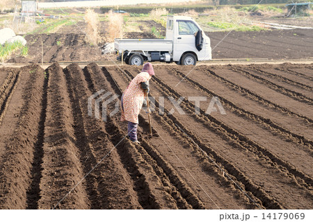 野良仕事 14179069