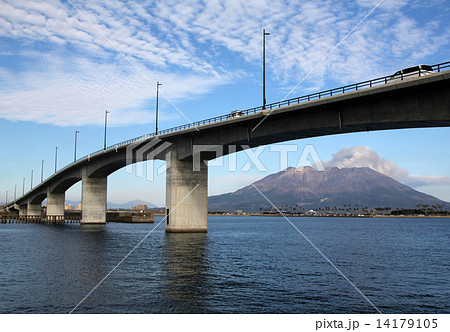 桜島／黎明みなと大橋と桜島 14179105