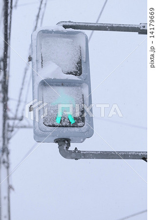 着雪した歩行者用信号機の写真素材