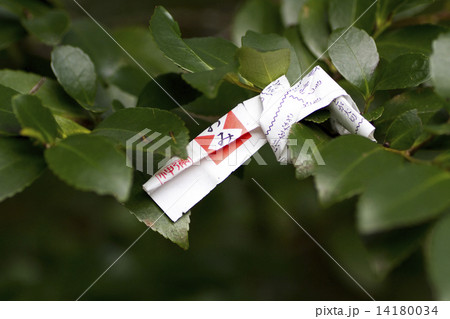 おみくじ2 14180034