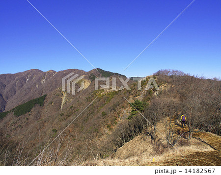 丹沢表尾根 丹沢表尾根 14182567