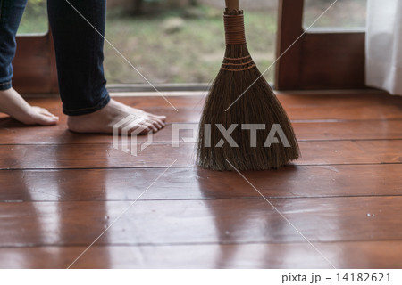 ほうき 14182621