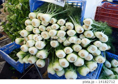 アメリカ　サンフランシスコ　ファーマーズマーケット 14182712