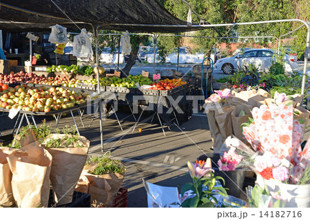 アメリカ　サンフランシスコ　ファーマーズマーケット 14182716