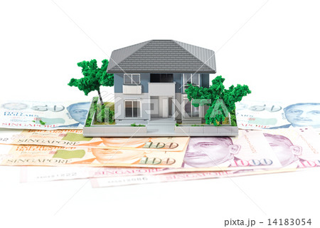 Miniature house with Singapore paper currency 14183054