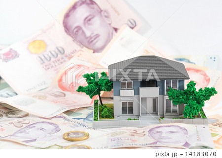 Miniature house with Singapore paper currency and coins 14183070