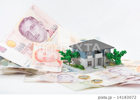Miniature house with Singapore paper currency and coins 14183072