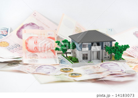 Miniature house with Singapore paper currency and coins 14183073