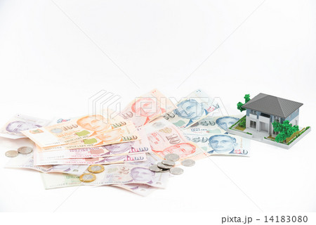 Miniature house with Singapore paper currency and coins 14183080