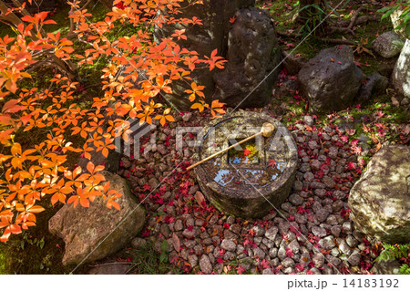 金福寺の蹲 金福寺の蹲 14183192