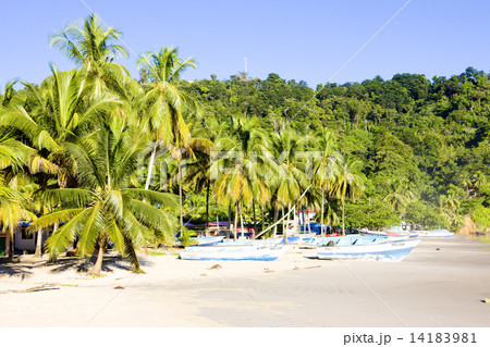 Maracas Bay, Trinidad 14183981
