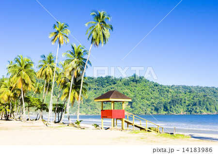 cabin on the beach, Maracas Bay, Trinidad 14183986