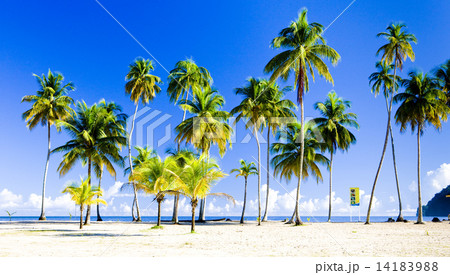 Maracas Bay, Trinidad 14183988