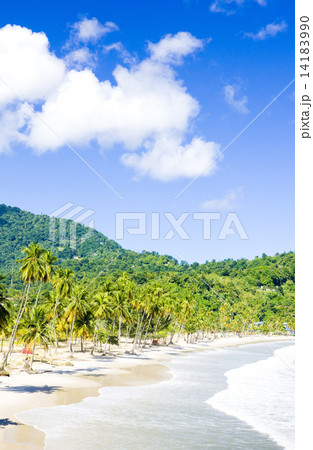 Maracas Bay, Trinidad 14183990