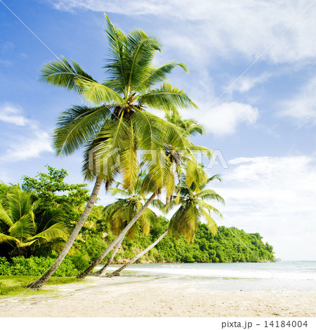 La Sagesse Bay, Grenada La Sagesse Bay, Grenada 14184004