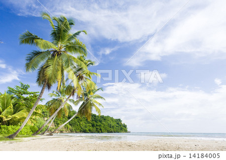 La Sagesse Bay, Grenada 14184005