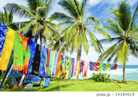 typical fabrics, Bathsheba, East coast of Barbados, Caribbean 14184019