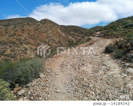 Rocky landscape of Tenerife. Canary Islands. Spain Rocky landscape of Tenerife. Canary Islands. Spain 14184242