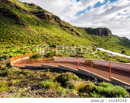 Road and rocks of Los Gigantes 14184249