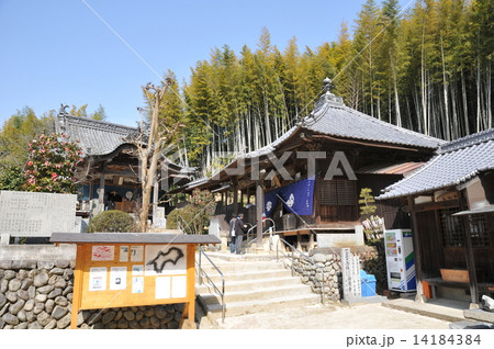 【四国八十八ヶ所】第五十七番　栄福寺　早春の境内　愛媛県今治市 14184384