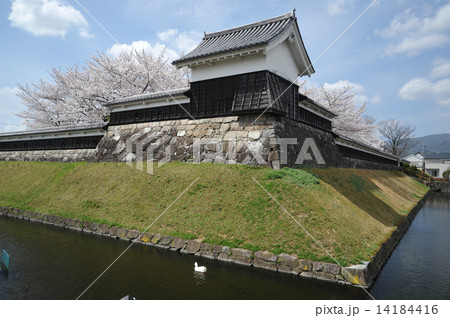 京都　勝龍寺城 14184416