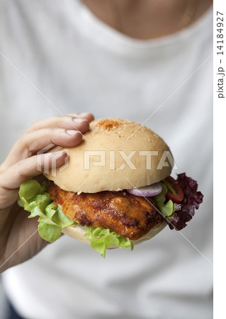 Hands holding chicken burger 14184927