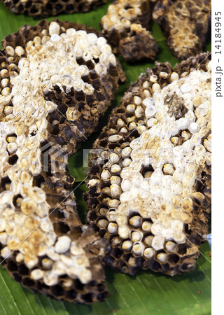 Hornet's nest in fresh market Hornet's nest in fresh market 14184945