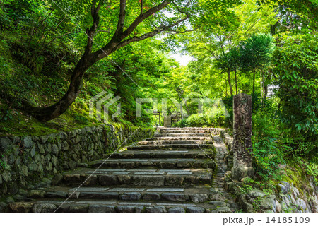 京都　あだしの念仏寺 14185109