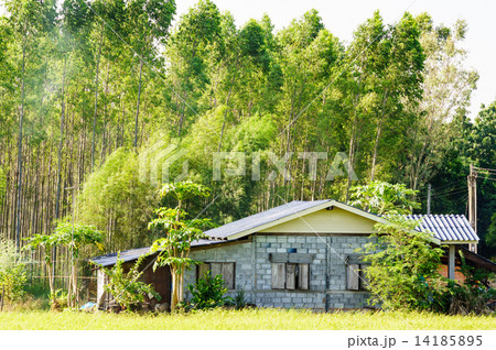 Rural house in front of the woods Rural house in front of the woods 14185895