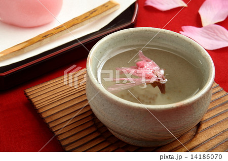 桜茶 桜湯 花見 結納 桜茶 桜湯 花見 結納 14186070