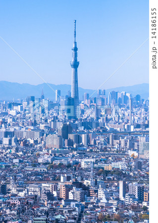 東京の風景 14186155