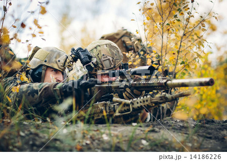 sniper team 14186226