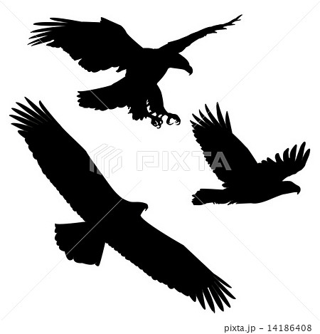 Set Of Black Silhouette Three Eaglesのイラスト素材